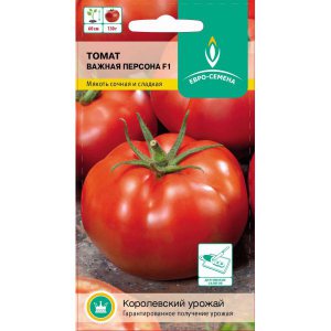 Un invité d'honneur dans votre banlieue est une tomate Personne importante et ses avantages par rapport aux autres variétés