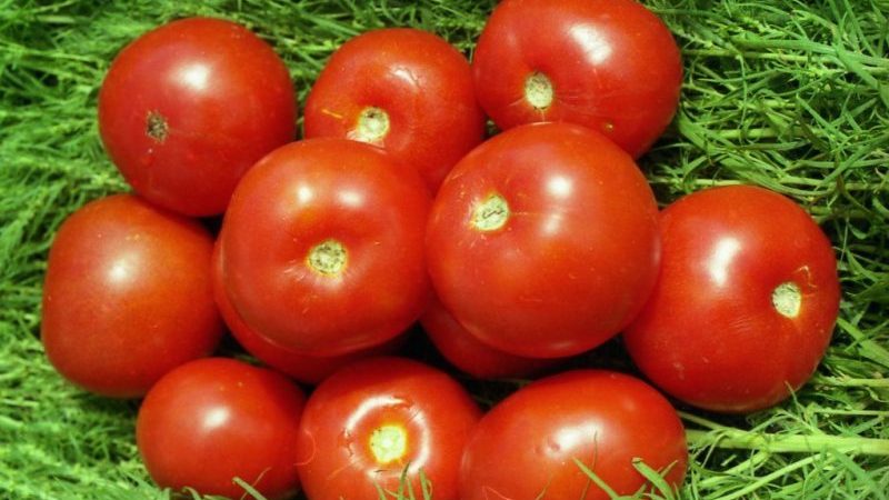 Comment faire pousser une tomate Volgograd 323 à maturation précoce et comment elle ravira un maraîcher