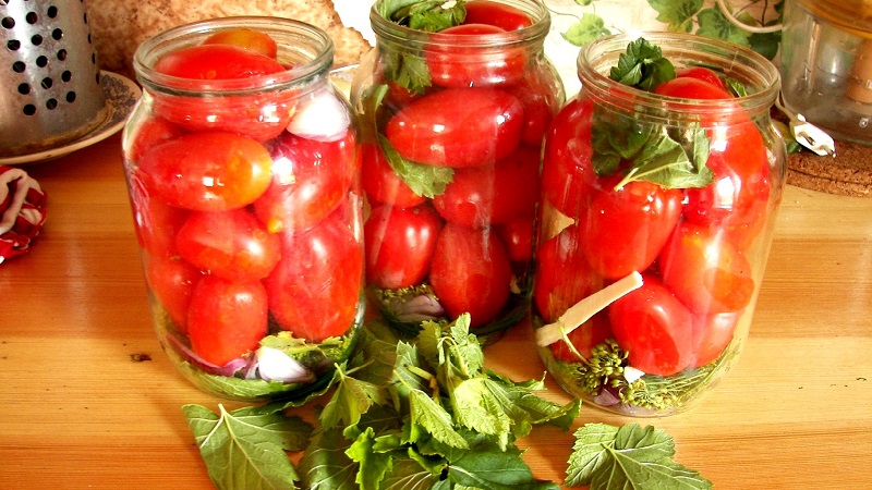 Top 10 des recettes de tomates insolites pour l'hiver: comment cuisiner délicieusement les tomates et les rouler correctement
