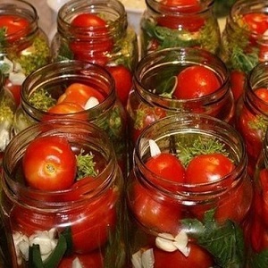Top 10 des recettes de tomates insolites pour l'hiver: comment cuisiner délicieusement les tomates et les rouler correctement