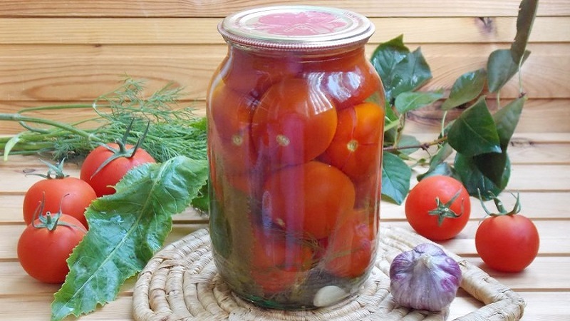 Top 10 des recettes de tomates insolites pour l'hiver: comment cuisiner délicieusement les tomates et les rouler correctement