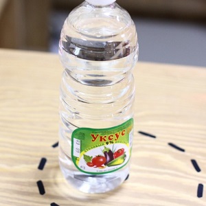 Le vinaigre est le meilleur remède populaire pour lutter contre les pucerons sur les concombres