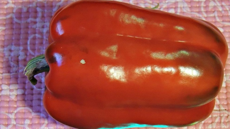 Nous cultivons sur le site l'un des types de poivrons doux les plus populaires - Kubyshka