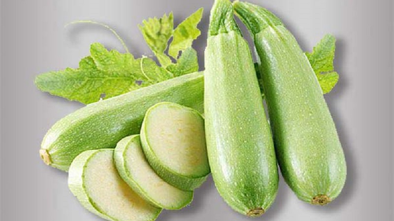 Nous cultivons correctement les courgettes Aral résistantes aux maladies et battons des records de rendement