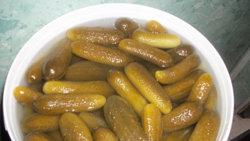 Comment faire refroidir les concombres dans un seau pour l'hiver: les meilleures recettes de femmes au foyer expérimentées