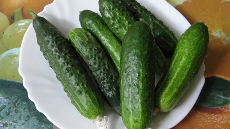 Un aperçu d'un hybride de concombres satinés, que même un débutant peut gérer en croissance