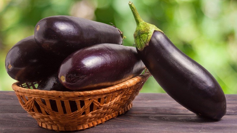 L'aubergine peut-elle ou non être utilisée pour le diabète de type 2: avantages et inconvénients, recettes