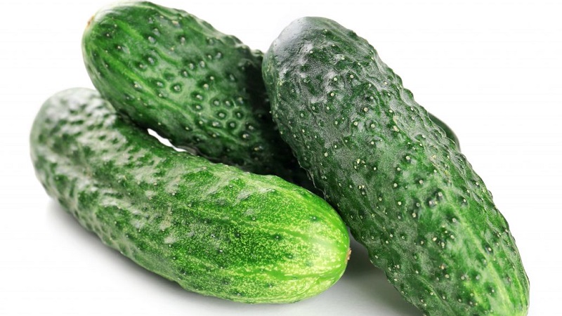 Pourquoi le concombre hybride Bjorn est-il bon et pourquoi il vaut la peine d'essayer de le cultiver