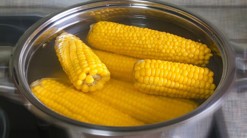 Comment comprendre que le maïs est mûr: nous récoltons à temps, en fonction de son utilisation ultérieure