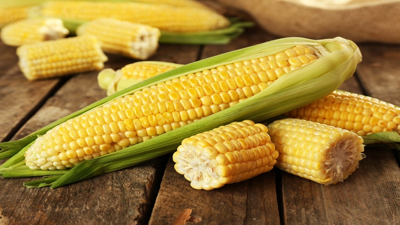 Comment faire cuire du maïs mariné en épi pour l'hiver: les meilleures recettes