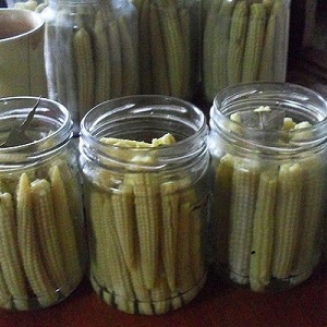 Comment faire cuire du maïs mariné en épi pour l'hiver: les meilleures recettes