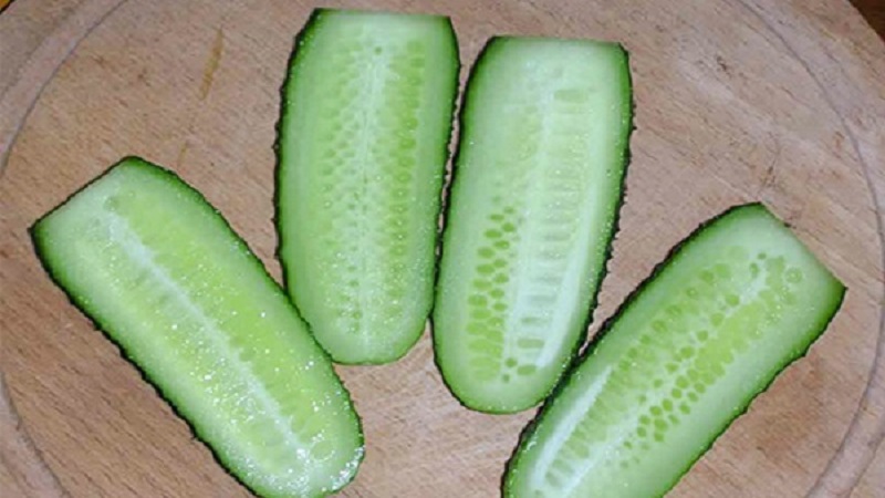 Un hybride précoce de concombres Bettina pour les serres, les terrains ouverts et poussant sur un rebord de fenêtre