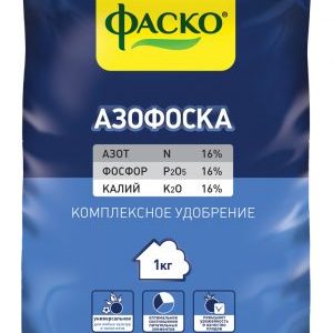Comment, quand et quoi nourrir la citrouille pendant la floraison et la fructification: conseils des jardiniers et erreurs courantes