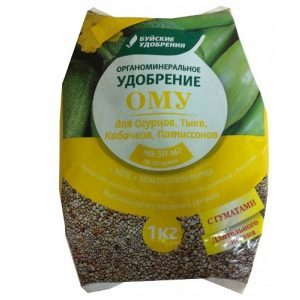 Comment, quand et quoi nourrir la citrouille pendant la floraison et la fructification: conseils des jardiniers et erreurs courantes