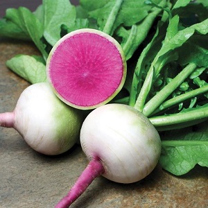 Radis pastèque d'apparence inhabituelle et au goût agréable: ce qui est bon et comment le cultiver