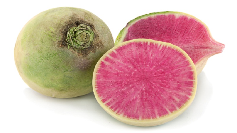 Radis pastèque d'apparence inhabituelle et au goût agréable: ce qui est bon et comment le cultiver