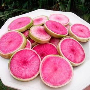 Radis pastèque d'apparence inhabituelle et au goût agréable: ce qui est bon et comment le cultiver