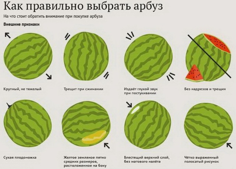 Recettes simples et rapides pour les pastèques fermentées