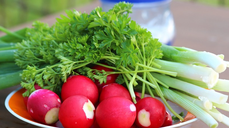 Pourquoi l'hybride de radis Cherriet est-il bon et pourquoi il vaut la peine d'être cultivé