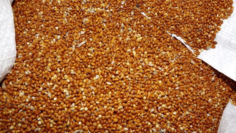 De quelles céréales est fabriqué le millet et pourquoi est-il nécessaire
