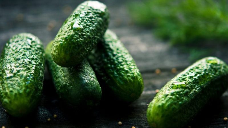 Pourquoi les concombres ne poussent pas dans une serre et comment traiter efficacement ce problème