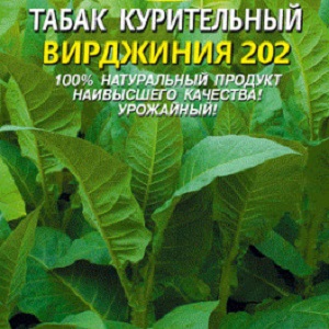 Un guide étape par étape sur la culture du tabac Virginia 202