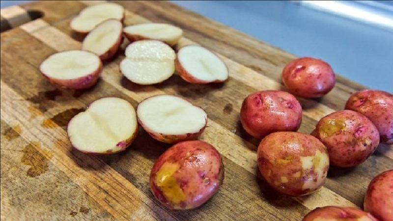 Une variété de pomme de terre sans prétention Crimean Rose pour la culture dans les climats chauds