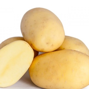 Soin sans prétention et variété de pomme de terre à haut rendement Agata