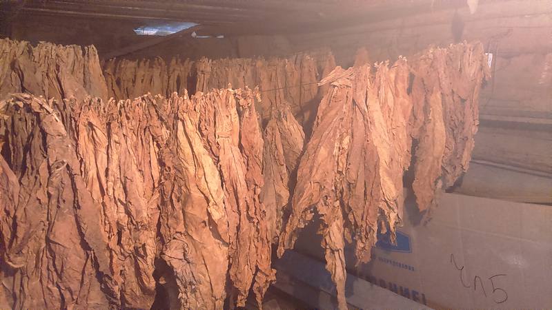 Les moyens les plus sûrs de stocker le tabac à la maison