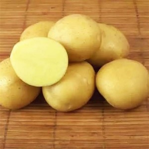 Variété de pomme de terre résistante à la sécheresse et sans prétention Meteor: description et caractéristiques