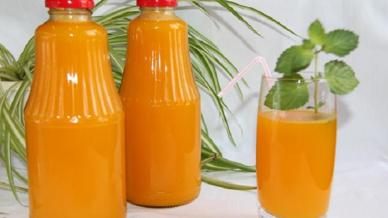 Les bienfaits du jus de citrouille pour les femmes: on se familiarise avec les propriétés médicinales, on se prépare et on boit correctement