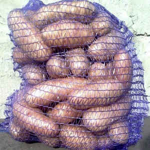 Ancienne et adorée des agriculteurs, la légendaire variété de pomme de terre américaine