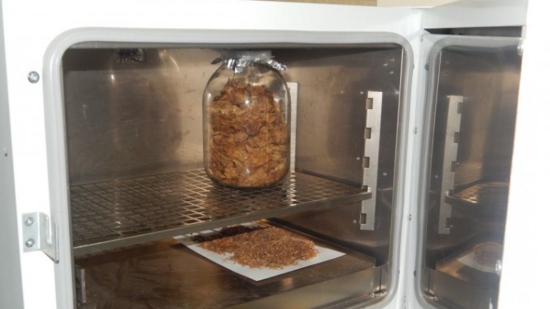 Comment fermenter le tabac à la maison: les meilleures façons