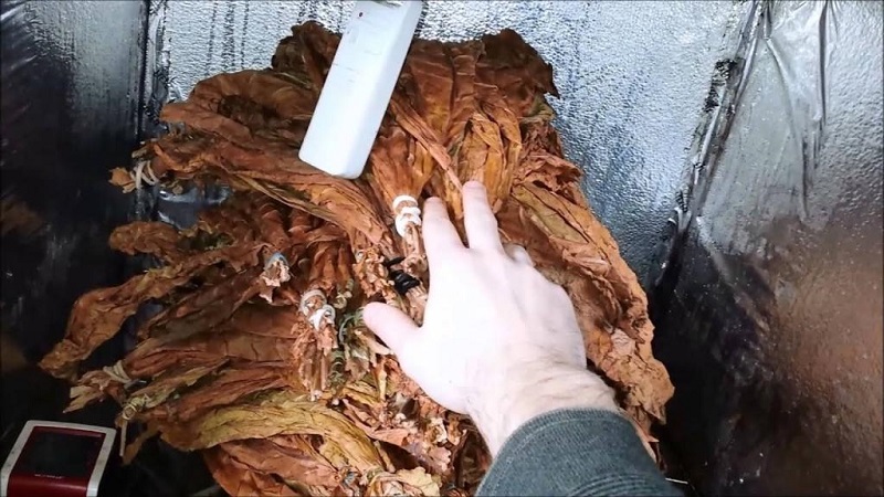 Comment fermenter le tabac à la maison: les meilleures façons