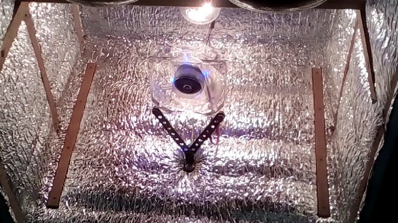 Comment fermenter le tabac à la maison: les meilleures façons