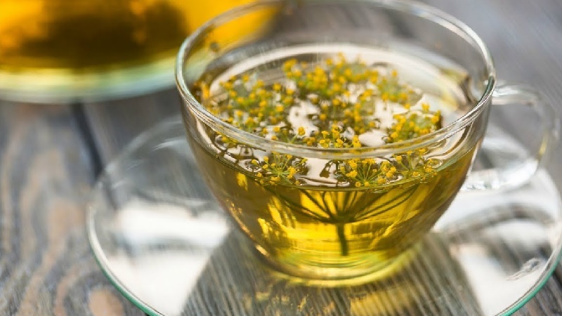 Est-il possible pour les femmes enceintes d'aneth: préjudice et bénéfice pour la future mère et l'enfant