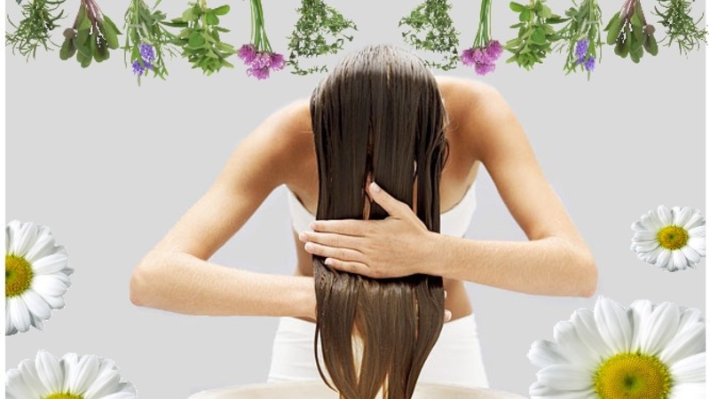 Qu'est-ce que le riz noir et à quoi sert-il