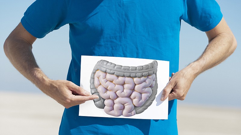 Nous nettoyons les intestins avec de la pastèque: recettes