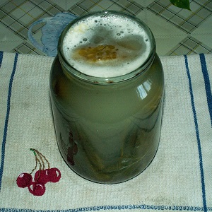 Que faire si les concombres dans le pot sont trouble: comment corriger les erreurs et les éviter dans les espaces suivants