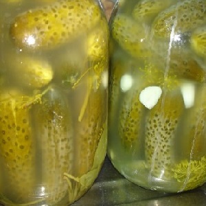 Que faire si les concombres dans le pot sont trouble: comment corriger les erreurs et les éviter dans les espaces suivants