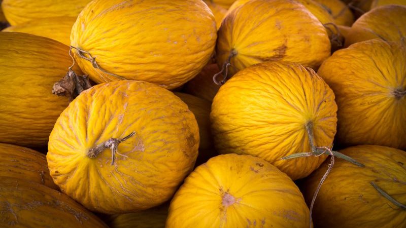 Ce qui est bien avec le melon Kassaba, comment le choisir et le cultiver