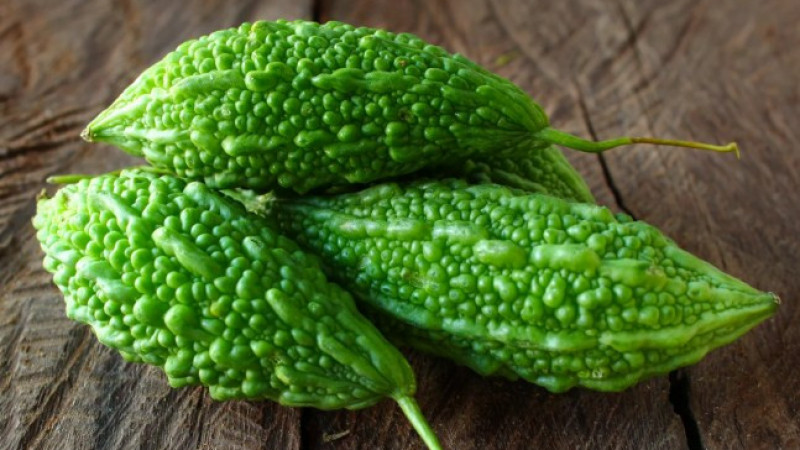 Présentation du melon amer chinois (Momordiki)