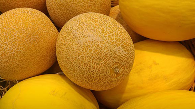 De délicieuses recettes de flans de melon pour l'hiver - léchez-vous les doigts!