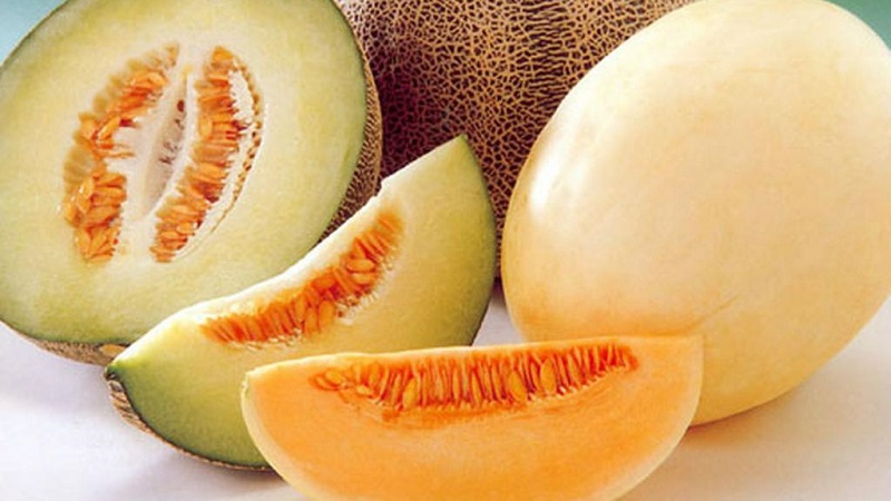 Régimes de melon efficaces pour perdre du poids: critiques et calories