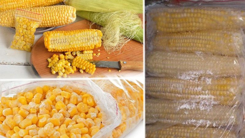Où et comment stocker le maïs en épi à la maison: conditions optimales et durée de conservation