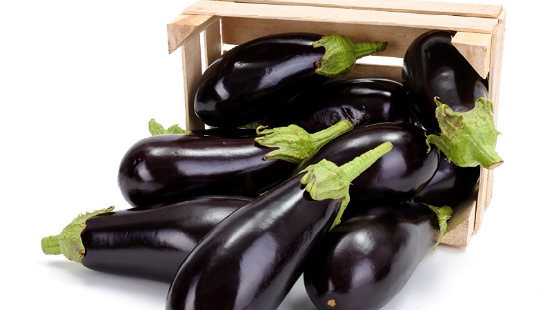 Comment conserver correctement les aubergines à la maison jusqu'à l'hiver
