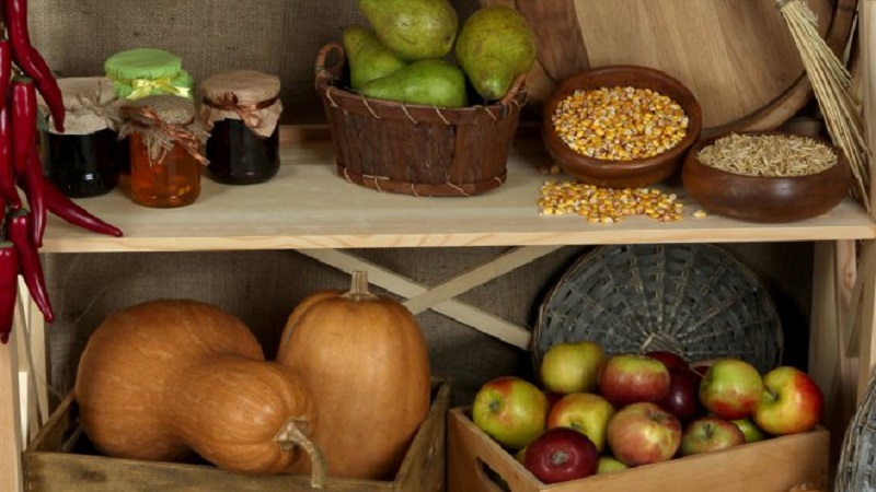 Comment conserver une citrouille pour l'hiver dans une cave: créer des conditions favorables pour éviter de gâcher le légume