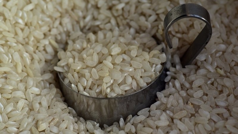 Comment conserver le riz à la maison et combien de temps il peut être conservé