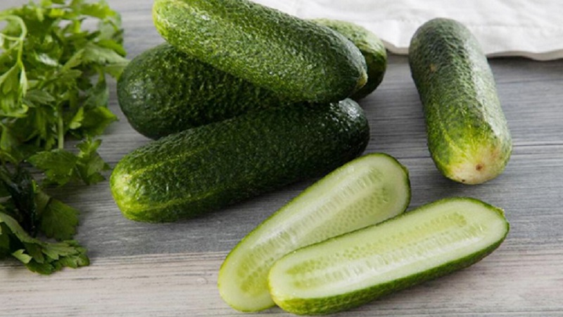 Comment cultiver correctement l'hybride de concombre hollandais Trilogy F1 pour obtenir une bonne récolte