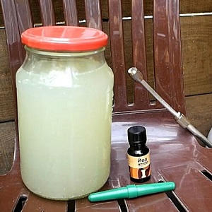 Comment utiliser le sérum de mildiou sur les tomates: nous combattons la maladie efficacement, rapidement et dans les limites d'un budget